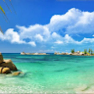 Meet your Posher, Jake